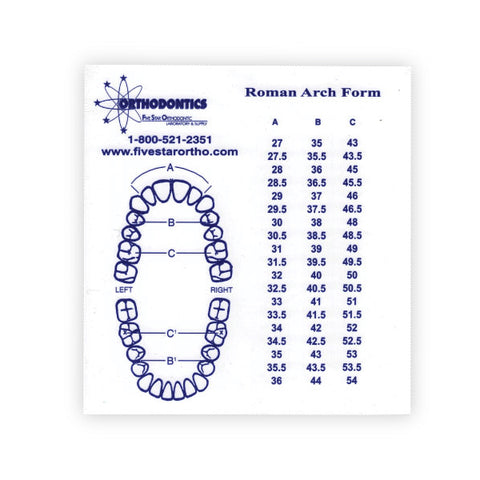 Roman Arch Analysis