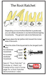Root Ratchet (5 Pack)